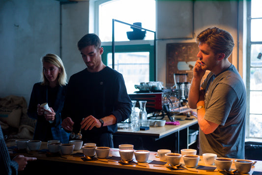 Coffee Cupping - Fixed Gear Coffee x Sprout - 14 March 2024